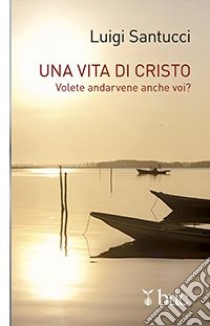 Una vita di Cristo. Volete andarvene anche voi? libro di Santucci Luigi