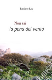 Non sai la pena del vento libro di Loy Luciano