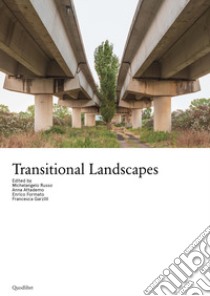 Transitional Landscapes libro di Russo M. (cur.); Attademo A. (cur.); Formato E. (cur.)