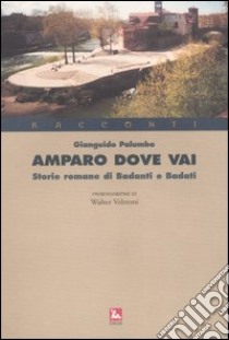 Amparo dove vai. Storie romane di badanti e badati libro di Palumbo Gianguido