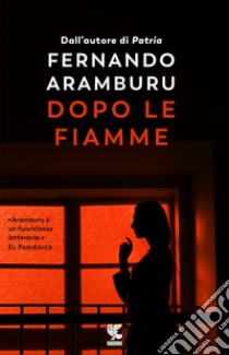 Dopo le fiamme libro di Aramburu Fernando