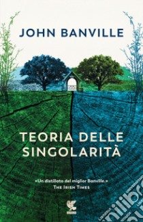 Teoria delle singolarità libro di Banville John