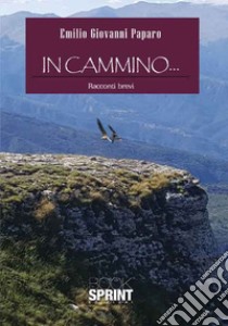 In cammino... libro di Paparo Emilio Giovanni