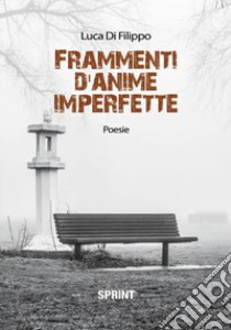 Frammenti d'anime imperfette libro di Di Filippo Luca