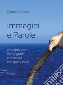 Immagini e parole. Il mondo visto in fotografia e descritto con pochi versi libro di Grano Gaetano