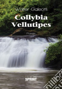 Collybia Vellutipes libro di Galeotti Walter