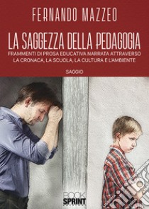 La saggezza della pedagogia. Frammenti di prosa educativa narrata attraverso la cronaca, la scuola, la cultura e l'ambiente libro di Mazzeo Fernando