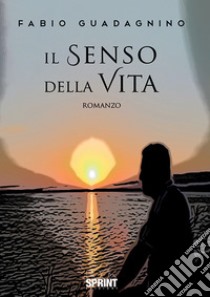 Il senso della vita libro di Guadagnino Fabio