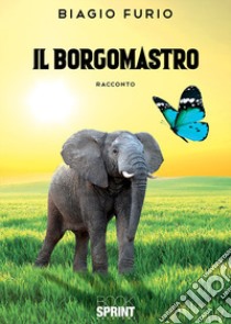 Il Borgomastro libro di Furio Biagio