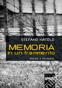 Memoria in un frammento libro di Natolo Stefano