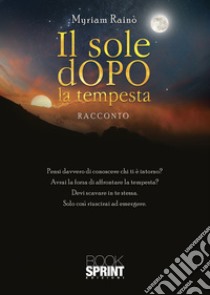 Il sole dopo la tempesta libro di Rainò Myriam