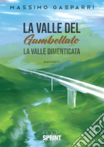 La valle del Gambellato. La valle dimenticata libro di Gasparri Massimo