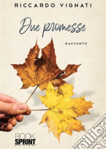 Due promesse libro di Vignati Riccardo