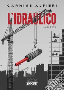 L'idraulico libro di Alfieri Carmine