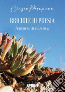 Briciole di poesia libro di Pampena Cinzia