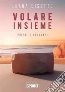 Volare insieme libro di Cisotto Luana