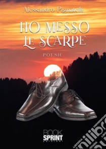 Ho messo le scarpe libro di Pignatelli Alessandro