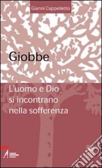 Giobbe. L'uomo e Dio si incontrano nella sofferenza libro di Cappelletto Gianni