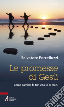 Le promesse di Gesù. Come cambia la tua vita se ci credi libro di Porcelluzzi Salvatore