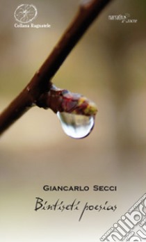 Bintiseti poesias libro di Secci Giancarlo