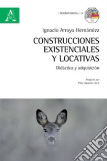 Construcciones existenciales y locativas. Didáctica y adquisición libro di Arroyo Hernández Ignacio