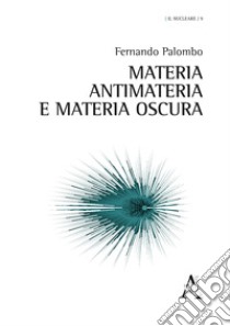 Materia, antimateria e materia oscura libro di Palombo Fernando