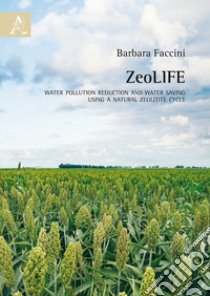 ZeoLIFE. Water pollution reduction and water saving using a natural zeolitite cycle libro di Faccini Barbara