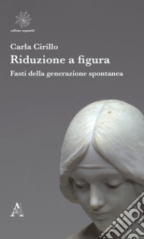 Riduzione a figura. Fasti della generazione spontanea libro di Cirillo Carla