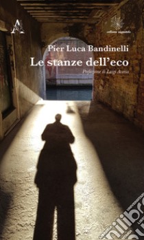 Le stanze dell'eco libro di Bandinelli Pier Luca