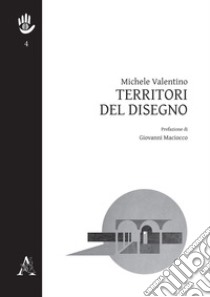 Territori del disegno libro di Valentino Michele