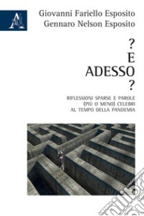 ? E adesso? Riflessioni sparse e parole (più o meno) celebri al tempo della pandemia libro di Fariello Esposito Giovanni; Esposito Gennaro Nelson