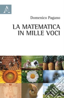 La matematica in mille voci libro di Pagano Domenico