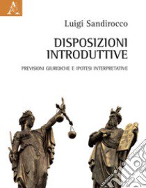 Disposizioni introduttive. Previsioni giuridiche e ipotesi interpretative libro di Sandirocco Luigi