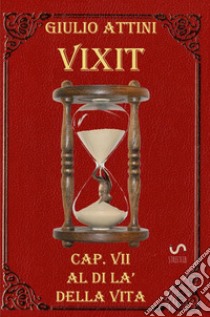 Vixit. Vol. 7: Al di là della vita libro di Attini Giulio