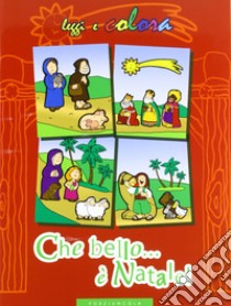 Che bello il Natale! Ediz. illustrata libro