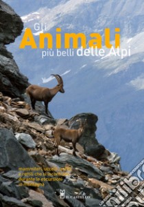 Gli animali più belli delle Alpi. Mammiferi, uccelli, anfibi e rettili che si incontrano durante le escursioni in montagna. Ediz. illustrata libro di Beraudo Pier Luigi; Bovero Stefano; Canalis Laura