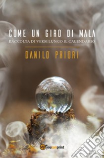 Come un giro di mala. Raccolta di versi lungo il calendario libro di Priori Danilo