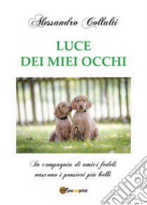 Luce dei miei occhi libro di Collalti Alessandro