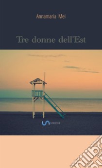 Tre donne dell'est libro di Mei Annamaria