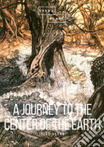 A journey to the center of the Earth libro di Verne Jules