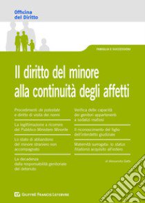 Il diritto del minore alla continuità degli affetti libro di Gatto Alessandra