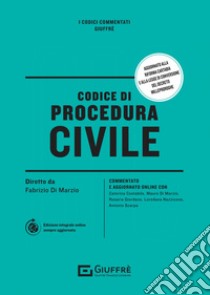 Codice di procedura civile libro