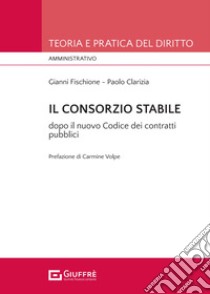 Il consorzio stabile tra novità e conferme dopo il nuovo Codice dei contratti pubblici (d.lgs. n. 36/2023) libro di Clarizia Paolo; Fischione Gianni