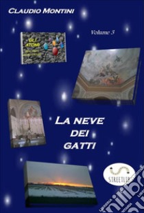 La neve dei gatti libro di Montini Claudio