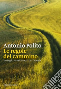 Le regole del cammino. In viaggio verso il tempo che ci attende libro di Polito Antonio