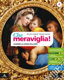 Che meraviglia! Con Leggere e rielaborare le opere d'arte. Per la Scuola media. Con e-book. Con espansione online. Vol. A-B: Scoprire i concetti chiave della storia dell'arte-Sviluppare la creatività libro di Castello Dionisio; Castello Daniele