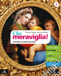 Che meraviglia! Con Leggere e rielaborare le opere d'arte. Per la Scuola media. Con e-book. Con espansione online. Vol. A: Scoprire i concetti chiave della storia dell'arte libro di Castello Dionisio; Castello Daniele