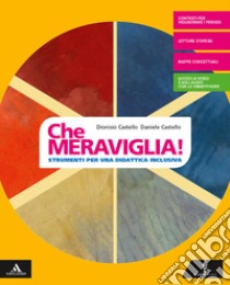 Che meraviglia! Strumenti per una didattica inclusiva. Per la Scuola media. Con e-book. Con espansione online libro di Castello Dionisio; Castello Daniele