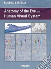 Anatomy of the eye and human visual system libro di Bertelli Eugenio