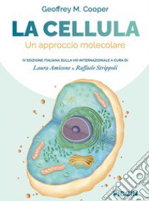 La cellula. Un approccio molecolare libro di Cooper Geoffrey M.; Amicone L. (cur.); Strippoli R. (cur.)